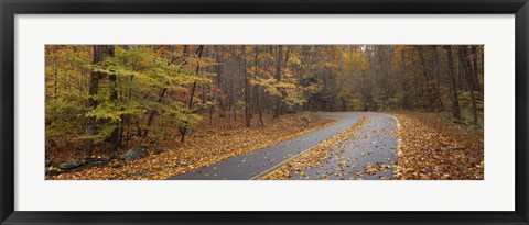 Framed Road passing through autumn forest, Great Smoky Mountains National Park, Cherokee, North Carolina, USA Print