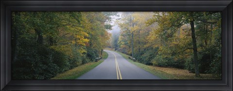 Framed Trees along a road, Blue Ridge Parkway, North Carolina, USA Print