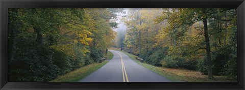 Framed Trees along a road, Blue Ridge Parkway, North Carolina, USA Print