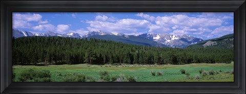 Framed Beaver Meadows Rocky Mountain National Park CO USA Print