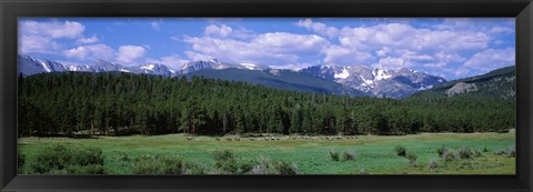 Framed Beaver Meadows Rocky Mountain National Park CO USA Print