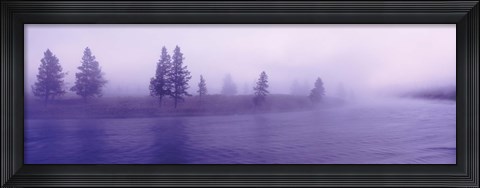 Framed USA, Wyoming, View of trees lining a misty river Print