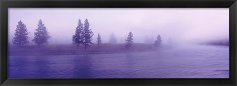 Framed USA, Wyoming, View of trees lining a misty river Print