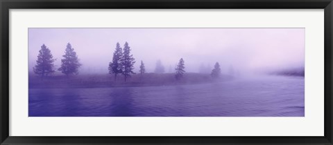 Framed USA, Wyoming, View of trees lining a misty river Print