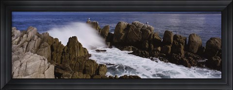 Framed Rock formations in water, Pebble Beach, California, USA Print