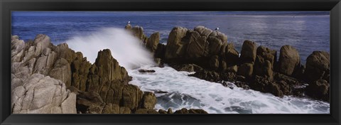 Framed Rock formations in water, Pebble Beach, California, USA Print