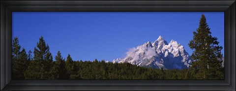 Framed Trees in a forest with snow covered mountains in the background, Grand Teton National Park, Wyoming, USA Print
