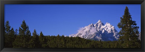 Framed Trees in a forest with snow covered mountains in the background, Grand Teton National Park, Wyoming, USA Print