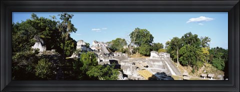 Framed Old Temple In The Forest, Tikal, Guatemala Print
