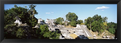 Framed Old Temple In The Forest, Tikal, Guatemala Print