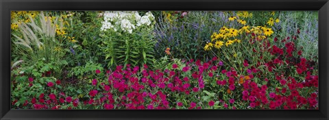 Framed Close-up of flowers in a garden Print