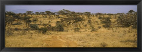 Framed Trees on a landscape, Samburu National Reserve, Kenya Print