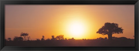 Framed Sunset, Tarangire, Tanzania, Africa Print