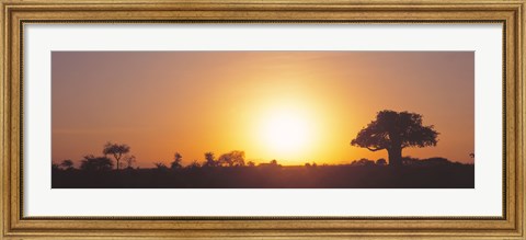 Framed Sunset, Tarangire, Tanzania, Africa Print