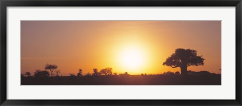 Framed Sunset, Tarangire, Tanzania, Africa Print