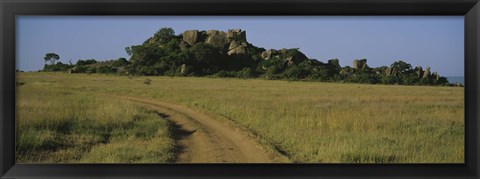 Framed Road passing through a grassland, Simba Kopjes, Road Serengeti, Tanzania, Africa Print