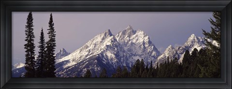 Framed Cathedral Group Mountains, Grand Teton National Park, Wyoming Print