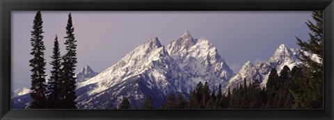 Framed Cathedral Group Mountains, Grand Teton National Park, Wyoming Print