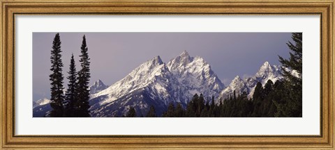 Framed Cathedral Group Mountains, Grand Teton National Park, Wyoming Print