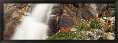 Framed Spalding Falls Grand Teton National Park WY Print