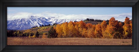 Framed Autumn Grand Teton National Park WY Print