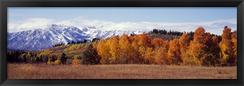 Framed Autumn Grand Teton National Park WY Print