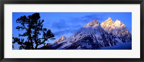 Framed Silhouette of a Limber Pine in front of mountains, Cathedral Group, Teton Range, Grand Teton National Park, Wyoming, USA Print