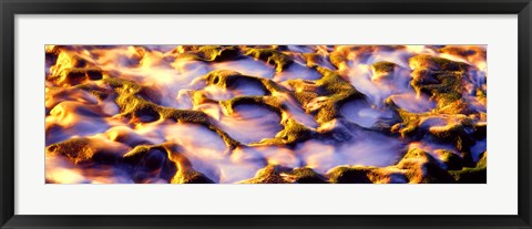 Framed High angle view of a surf on rock formation, Wind and Sea Beach, La Jolla, California, USA Print