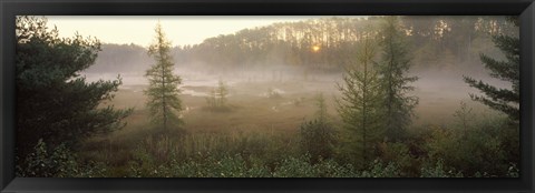 Framed Forest, Northern Highland-American Legion State Forest, Vilas County, Wisconsin, USA Print
