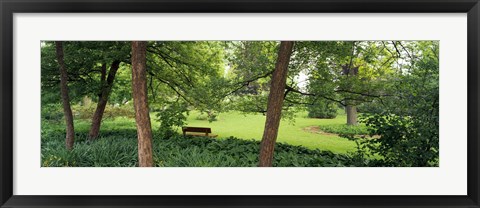 Framed Trees in a park, Adams Park, Wheaton, Illinois, USA Print