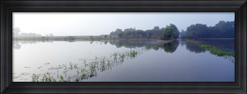 Framed Standing floodwater, Mississippi River, Illinois, USA Print