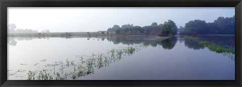 Framed Standing floodwater, Mississippi River, Illinois, USA Print