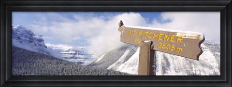 Framed Clark&#39;s Nutcracker (Nucifraga columbiana) perching on mountain sign, Mt. Kitchener, Jasper National Park, Alberta, Canada Print