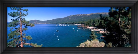 Framed Trees with lake in the background, Lake Tahoe, California, USA Print