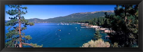 Framed Trees with lake in the background, Lake Tahoe, California, USA Print