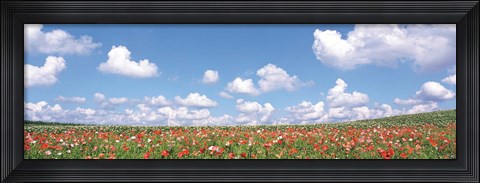 Framed Meadow flowers with cloudy sky in background Print