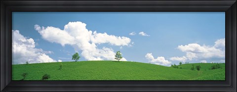 Framed Grassland with blue sky and clouds Print