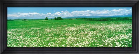 Framed Meadow flowers, Daisy field Print