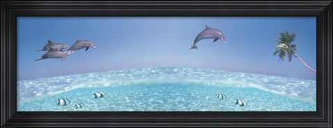 Framed Dolphins Leaping In Air Print