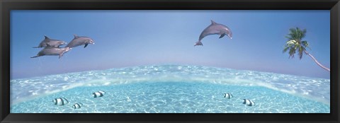 Framed Dolphins Leaping In Air Print