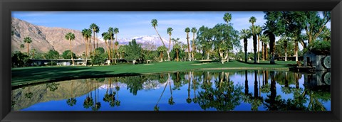 Framed Reflection of trees on water, Thunderbird Country Club, Rancho Mirage, Riverside County, California, USA Print