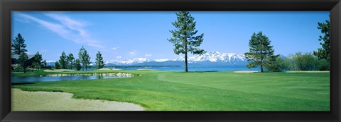 Framed Sand trap in a golf course, Edgewood Tahoe Golf Course, Stateline, Douglas County, Nevada Print