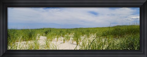 Framed Sand dunes at Crane Beach, Ipswich, Essex County, Massachusetts, USA Print