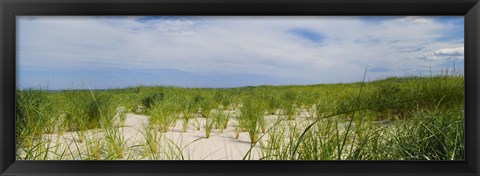 Framed Sand dunes at Crane Beach, Ipswich, Essex County, Massachusetts, USA Print