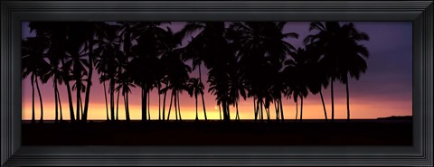 Framed Silhouette of palm trees on the beach, Puuhonua o Honaunau National Historical Park, Big Island, Hawaii, USA Print