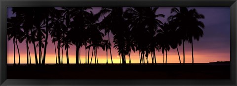 Framed Silhouette of palm trees on the beach, Puuhonua o Honaunau National Historical Park, Big Island, Hawaii, USA Print