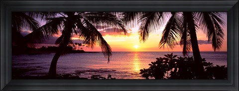 Framed Palm trees on the coast, Kohala Coast, Big Island, Hawaii, USA Print