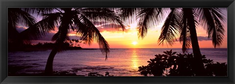 Framed Palm trees on the coast, Kohala Coast, Big Island, Hawaii, USA Print