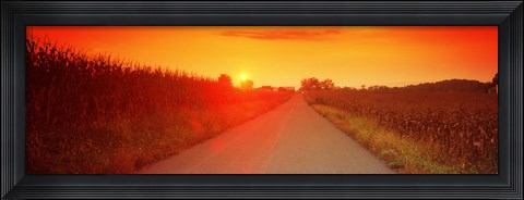 Framed Country road at sunset, Milton, Northumberland County, Pennsylvania, USA Print