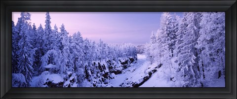 Framed Snow covered trees in a forest, Imatra, Finland Print